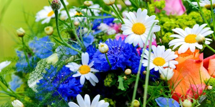 2880x1800 Spring Bouquet Wallpapers - Top Free Spring Bouquet Backgrounds