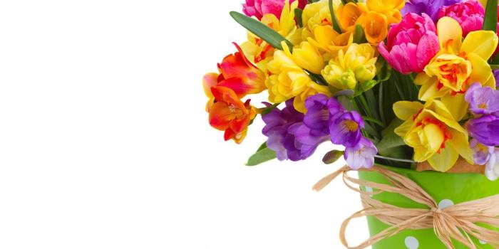 1332x850 Wallpaper colorful, flowers, daffodils, spring, bouquet images for
