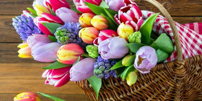 1920x1280 Spring Bouquet HD Wallpaper | Background Image | 1920x1280 | ID
