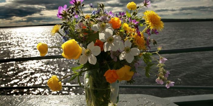 1920x1200 Spring bouquet in mason jar wallpaper - Flower wallpapers - #13076