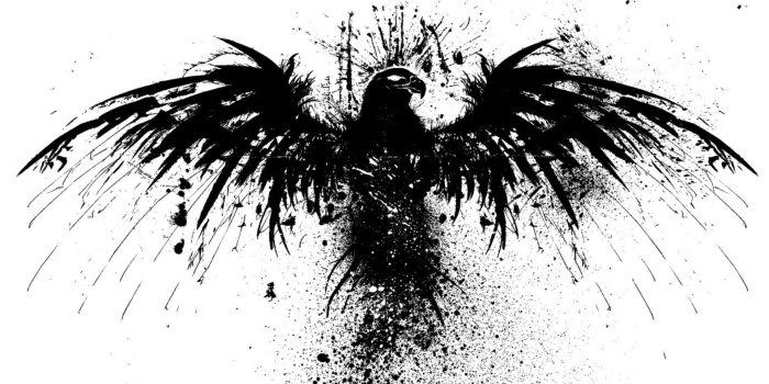 1920x1080 Raven bird wallpapers Gallery