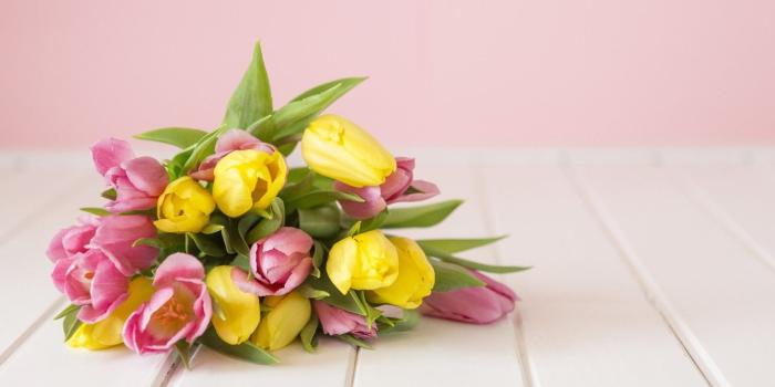 1332x850 Wallpaper flowers, background, bouquet, spring, tulips, flowers