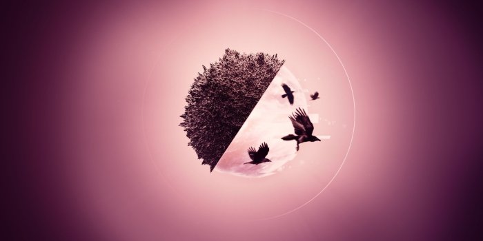 1920x1080 2815798 1920x1080 abstract 3d birds raven digital art artwork