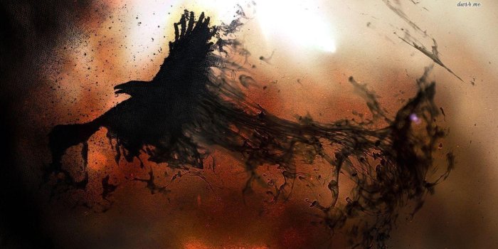 1366x768 Raven HD Wallpapers