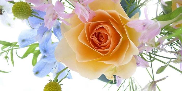 1024x768 Spring Bouquet With a Rose - Daydreaming Wallpaper (41091290) - Fanpop