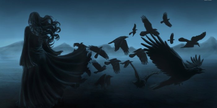 1920x1080 48+] Raven Desktop Wallpaper on WallpaperSafari