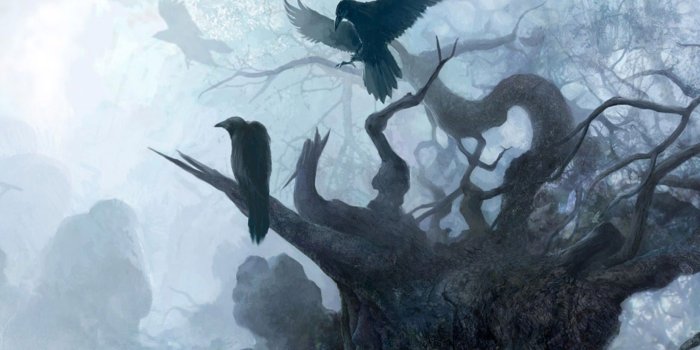 2560x1600 Raven Wallpapers (70+ background pictures)