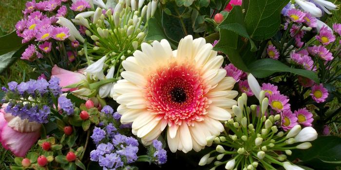 2560x1440 Spring flower bouquet - Barbaras HD Wallpapers