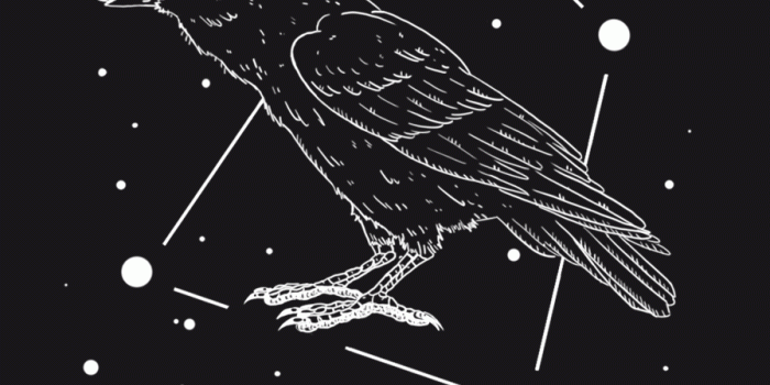 897x1497 Crow - watcher, omen, warning, guide | Wingy's Art | Journals | Crow