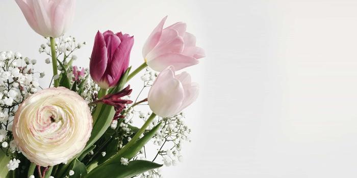 2800x2000 3069165 beautiful flowers, flower bouquet, spring flower, spring