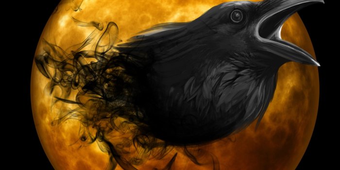 2880x1800 133 Raven HD Wallpapers | Background Images