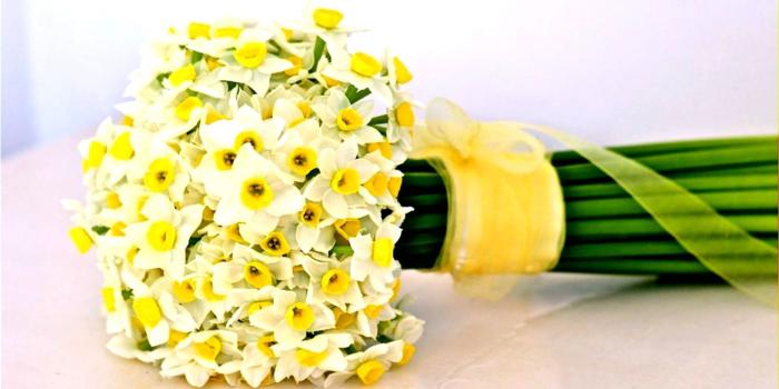 1520x949 Flower Narcissus Yellow Hd Wallpaper | Wallpapers Lock Screen