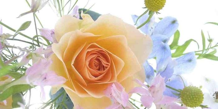 1024x768 Spring Bouquet Wallpapers - Top Free Spring Bouquet Backgrounds