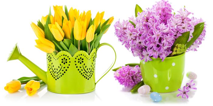 6000x3500 Flowers: Lilac Eggs Flowers Spring Bouquet Easter Hyacinth Tulips