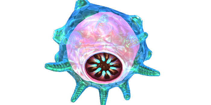 1920x1080 Floater | Subnautica Wiki | FANDOM powered by Wikia