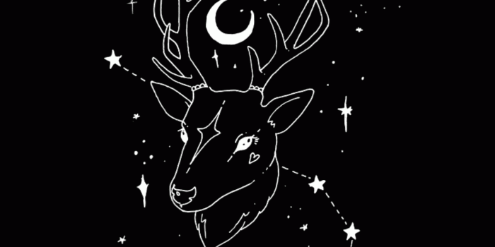 1242x2208 Witch Wallpaper Tumblr (100+ images in Collection) Page 1