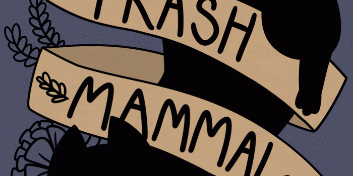 1080x1920 Witch Wallpaper Tumblr Group Pictures(51+)