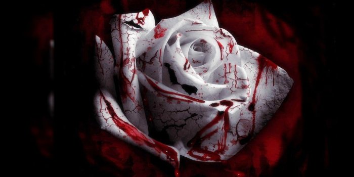 1440x810 Scary Clown Wallpaper Screensavers Free on WallpaperGet.com