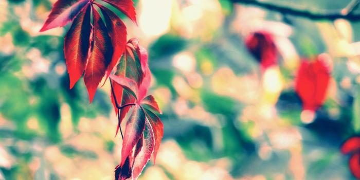 1600x1200 Digital Photography Wallpapers | Art And Home Wallpaper HD