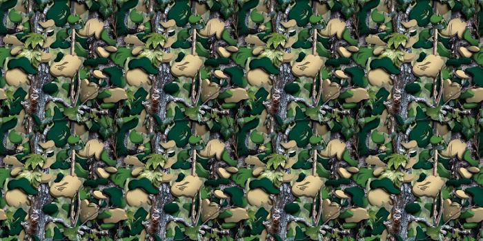 1600x1200 Bape Wallpaper Hd (29+ images) on Genchi.info