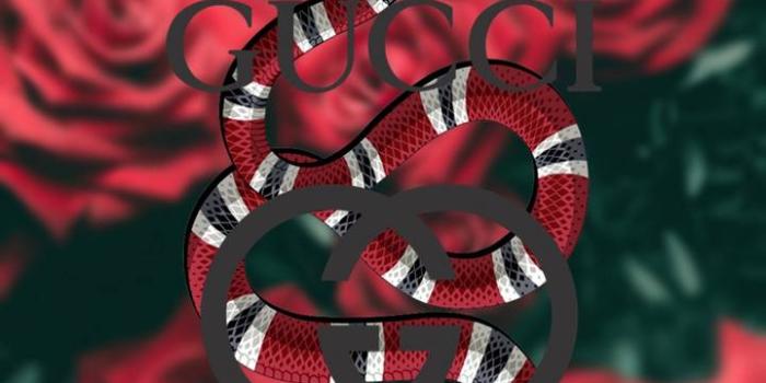 720x1280 GUCCI Wallpaper by Mijaaaaaaaaa - 0b - Free on ZEDGE™