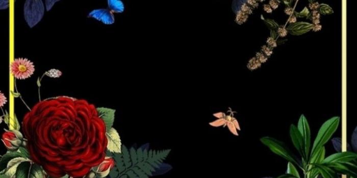 1080x2220 Wallpaper...By Artist Unknown... | ButterflyGarden | Floral