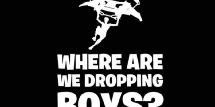 750x1334 where we dropping boys | Fortnite in 2019 | Iphone 5 wallpaper