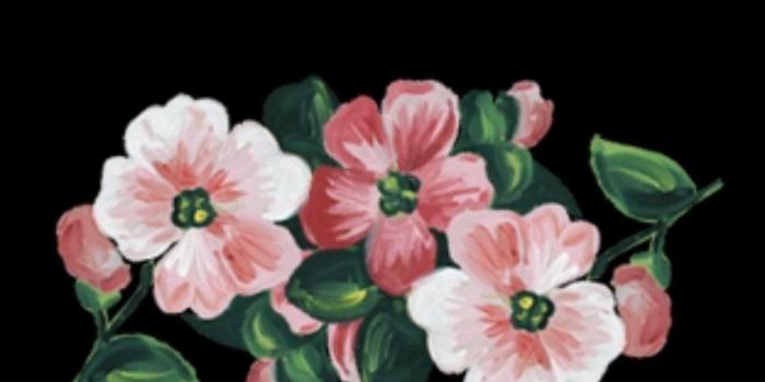 1242x1552 Gucci Flower Wallpapers - Top Free Gucci Flower Backgrounds