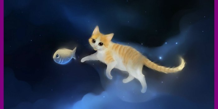 1986x1146 73+ Anime Cat Wallpapers on WallpaperPlay
