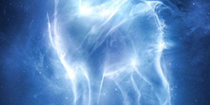 832x976 View topic - Dumbledore's Army - Chicken Smoothie