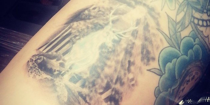 960x1200 patronus-hashtag på Twitter