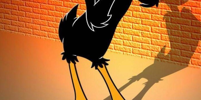 720x1280 Download donald duck Wallpaper by eminemout - 93 - Free on ZEDGE