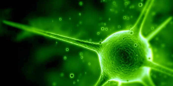 1280x960 372 Green HD Wallpapers | Background Images