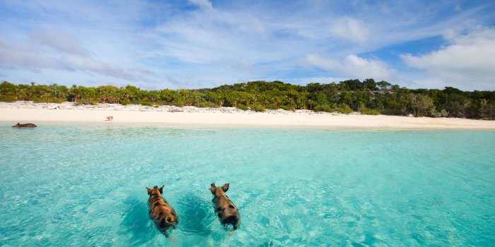 4399x2933 Things to Do in the Bahamas: Attractions, Travel Guide - Coastal Living