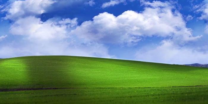 1280x720 Bliss Animated - Windows Xp (#134847) - HD Wallpaper Download