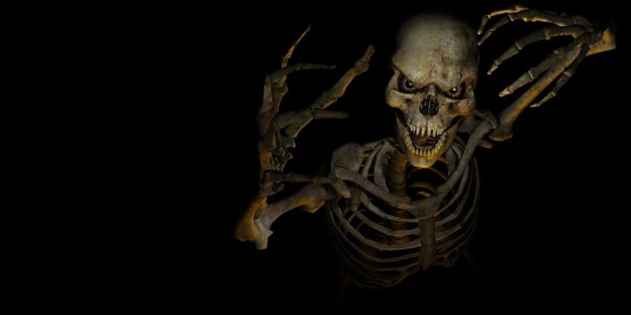 2560x1440 47+] Halloween Skeleton Wallpaper on WallpaperSafari