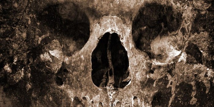 1080x1920 Skull Halloween - Best htc one wallpapers, free and easy to download