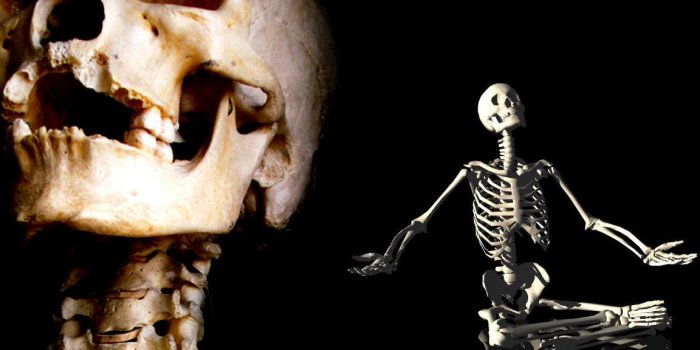 1152x864 75+] Skeleton Wallpapers on WallpaperSafari