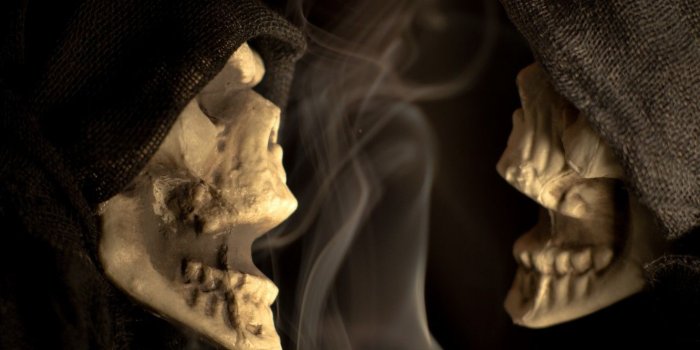 1332x850 Wallpaper halloween, macro, scary, Skeleton Chatter, Skeleton images