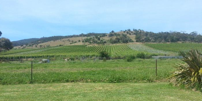 1200x900 What is the name of the landscape picture that is set as default