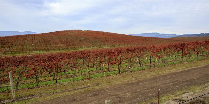 2736x1824 I drove by the Windows XP Wallpaper this weekend - Album on Imgur