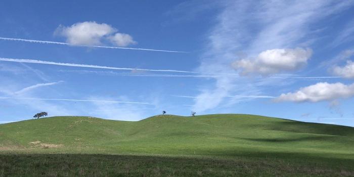 1024x768 Cycling through the Windows XP Wallpaper | Nick Brownfield