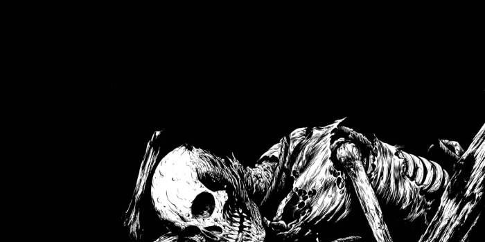 1920x1200 Skeletons wallpaper Gallery
