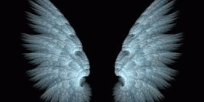750x1334 June Wing on Random in 2019 | Wings wallpaper, Angel wings, Wings