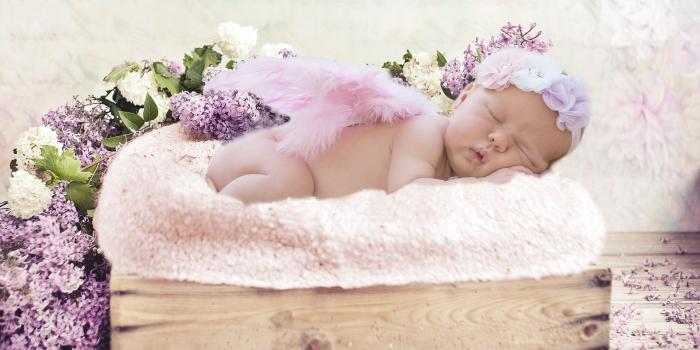 1920x1440 Wallpaper Cute baby in sleeping, little wings, lilac flowers