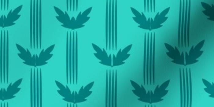 900x900 Fabric by the Yard little wings-terquoise