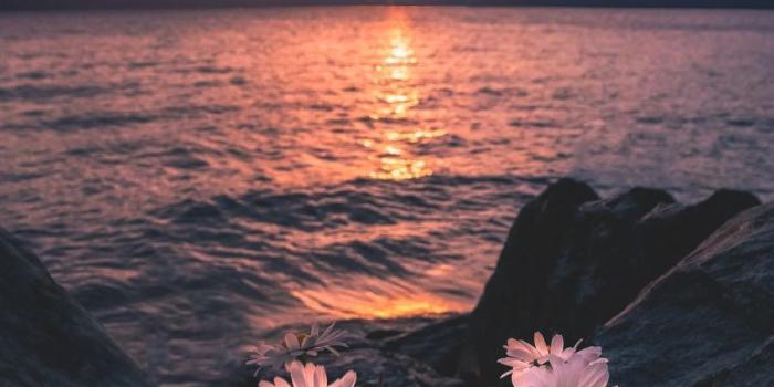 899x1349 lsleofskye: “Fly on, little wings | robertlukeman ” | Awesome Wonder