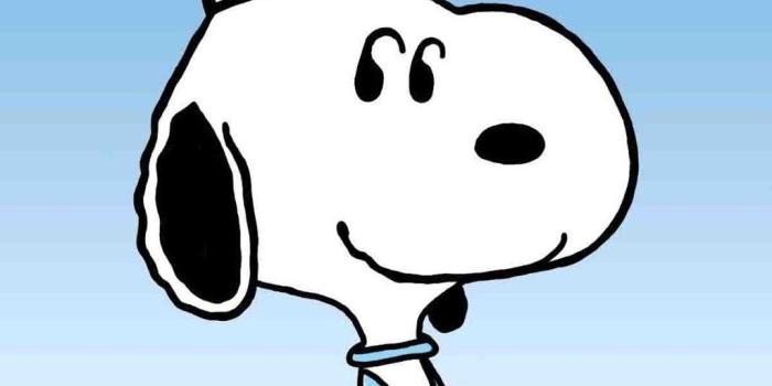 1024x768 Cartoon Chefs Wallpapers - Top Free Cartoon Chefs Backgrounds