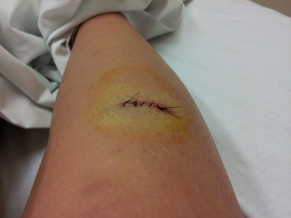 1024x768 Softball Wallpapers For Cell Phones 28+ - hdwallpaper20.com