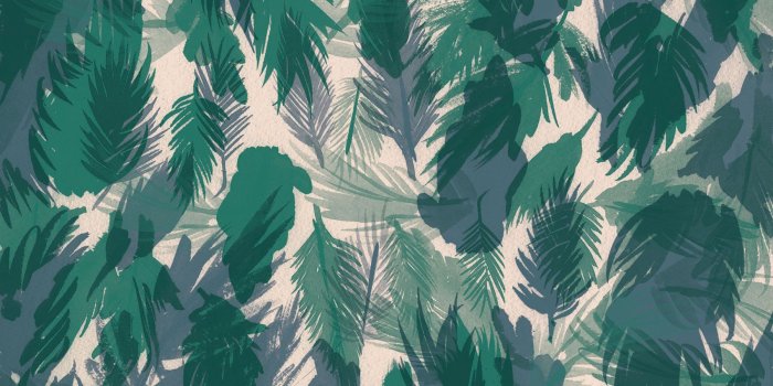 1800x1152 Elira Raymundo on Wallpapers in 2019 | Laptop wallpaper